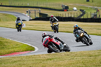 Middle Group Red Bikes